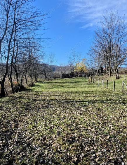 Casa cu teren 1750mp Horezu - 5