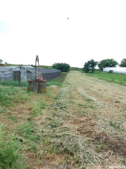 Vand casa! In Poiana Mare,Dolj! - 1