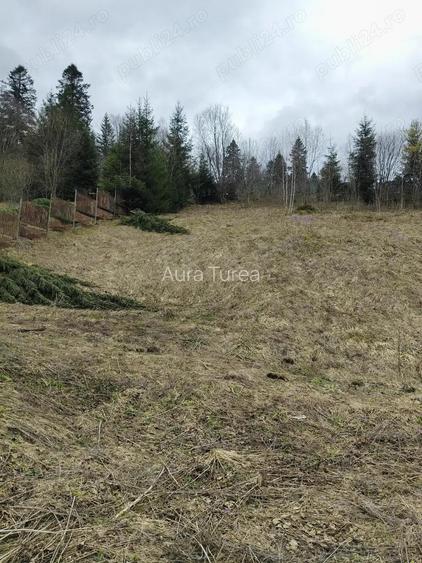 Teren intravilan situat in Predeal
