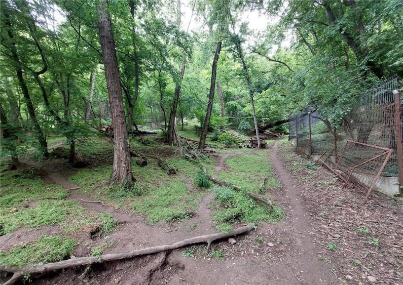 Casa tip D P 1, SISTEM AMVIC, teren 1000 mp, Sarata Monteoru - 7