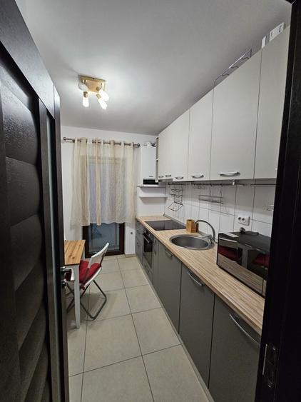 Apartament 2 camere Buna Ziua, Home Garden, mobilat, ultilat, parcare - 8