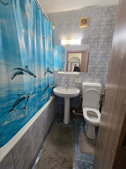 Titan, 10 minute metrou Costin Georgian, Barajul Bistritei, parter,centrala - 3