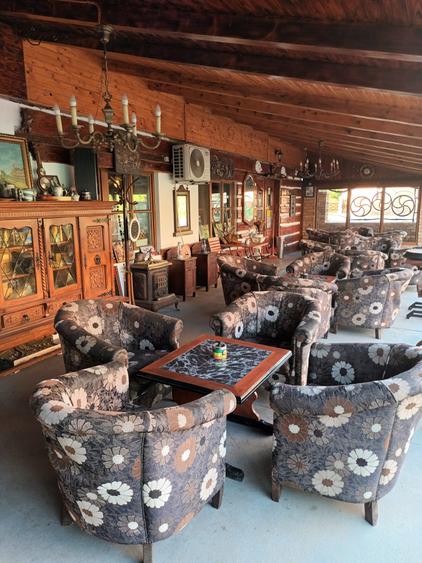 AFACERE SAU CASA DE VANZARE IN COMLOSU MIC - 10