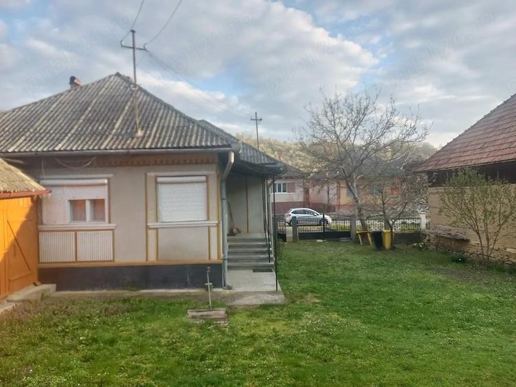 De vanzare gospodarie - 5