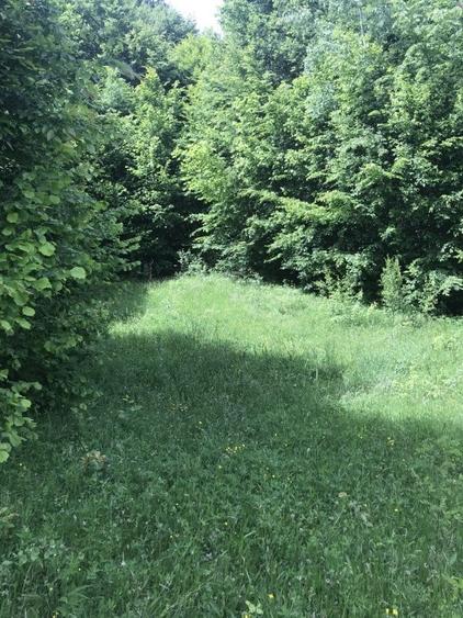 Vand teren in Albestii de Muscel faneata-pasune, partial impadurit - 1