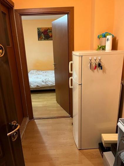 Garsoniera Lapus Arges (zona frigorifer ) - 4
