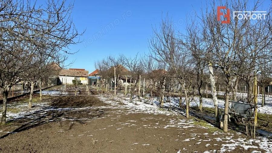 Casa 5 camere + teren 1845 mp Sanandrei - 3