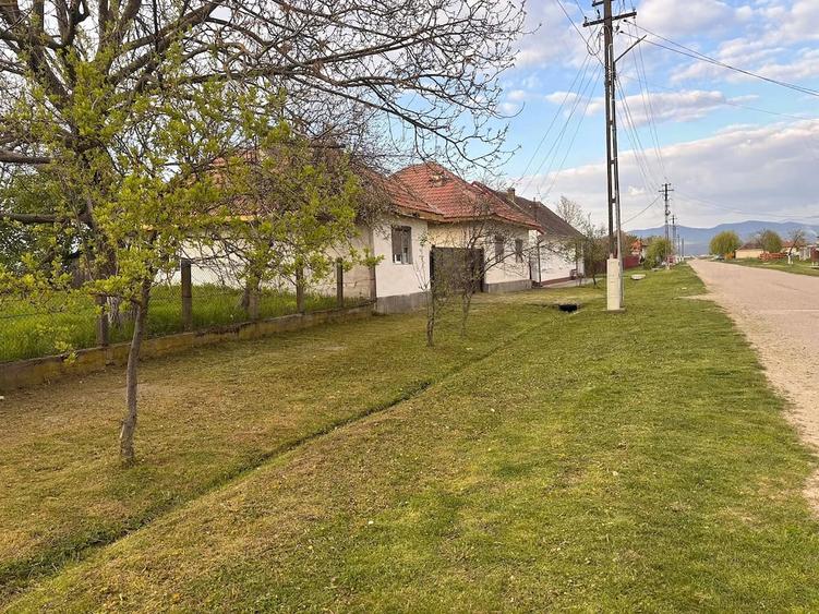 Casă cu Teren 4000 Mp în Sălbăgelu Nou