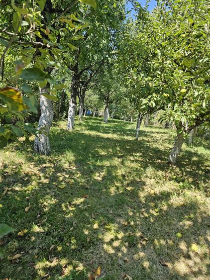 Casă cu 3 camere în Central