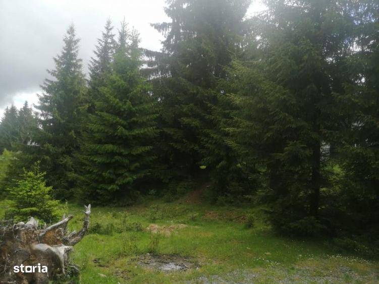 Teren de vanzare Belis1300mp Strada principala Intravilan - 7