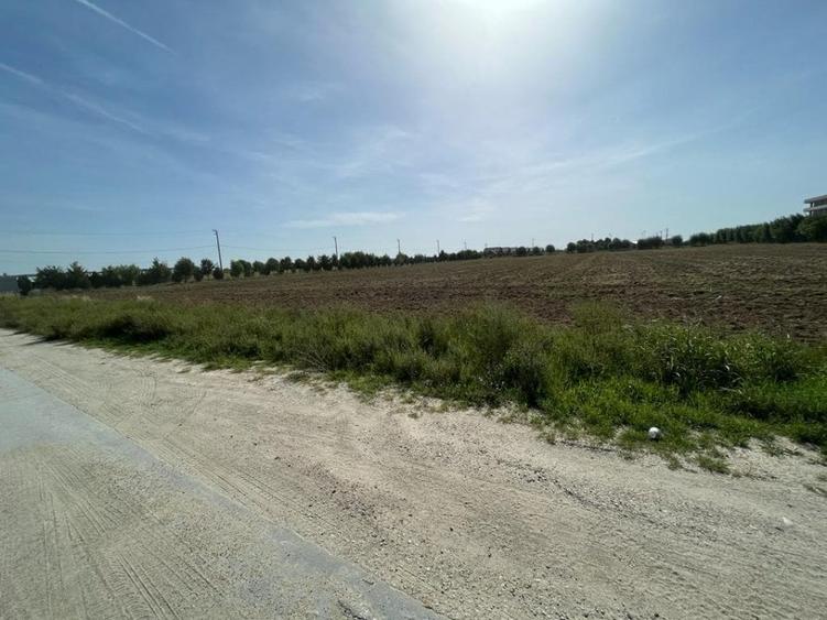 Teren Investitie - Pretabil Industrial, Logistica - 3