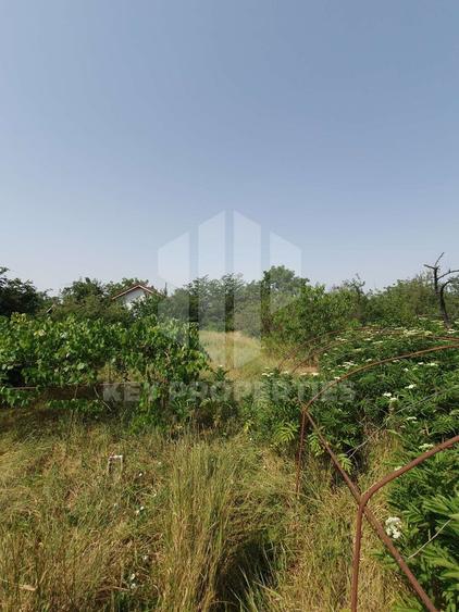 Samurcasi, str. Guliei, casa parter cu teren - 2431 mp - 4