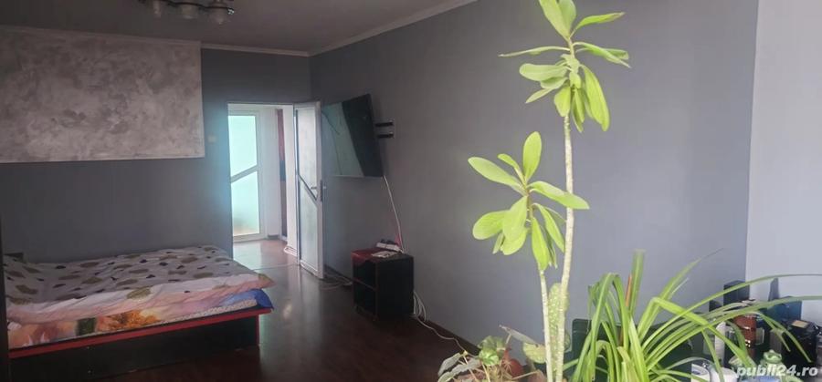 Apartament Alexandru cel bun - 2