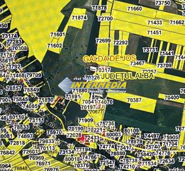Urgent! Teren intravilan 2100mp in Galda de Jos cu utilitati - 1