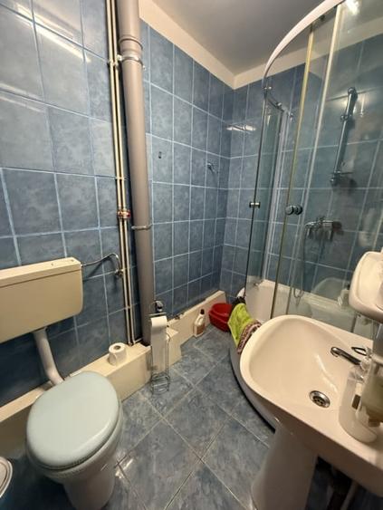 Cabana 5 dormitoare - 138.6 mp utili - 386 mp teren - Baisoara! - 8