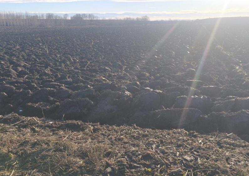 Teren intravilan, 2600mp str Horodnicului, Radauti - 1