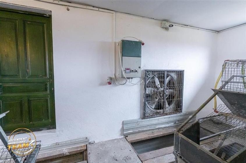 FILM! Ferma de iepuri,Malnas,Covasna: domeniu:comercial/industrial,asset UE - 36