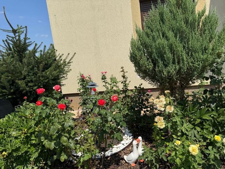 Vila premium de vânzare - 14