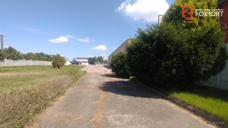 COMISION 0% Hala de productie si depozitare, corp administrativ si birouri - 17