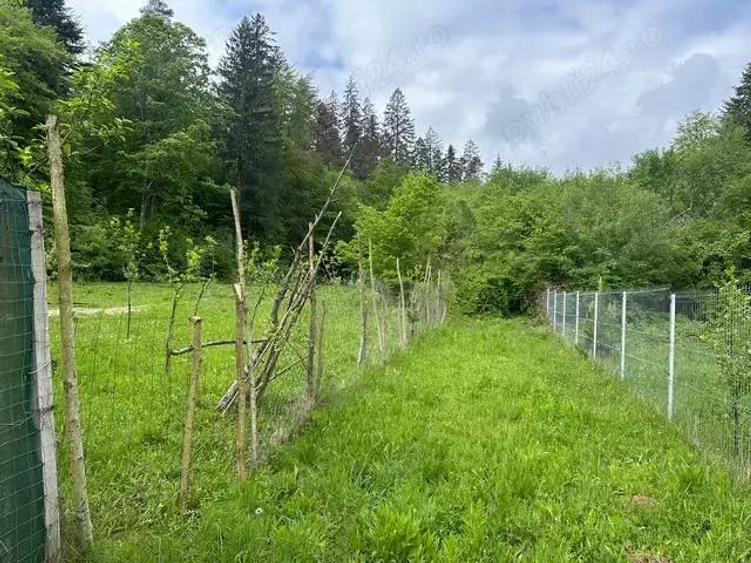 Vand teren extravilan zona usor accesibila, zona Colonia Mina 1 Mai - 4