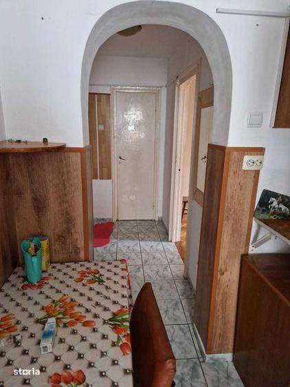 Apartament Dambu Pietros - 5