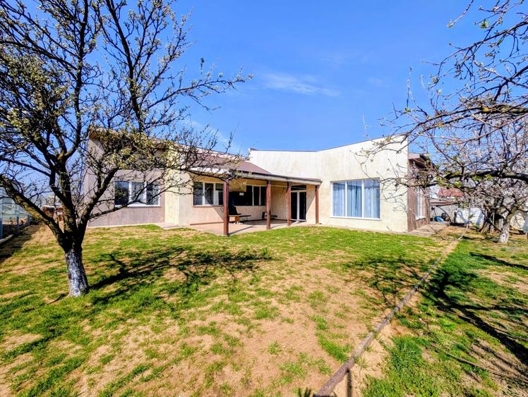 Casa unde copii cresc liberi: Povestea de pe strada Marin Sorescu - 1