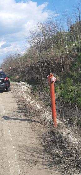 Teren de 9979 mp, în Rediu (Răuseni)