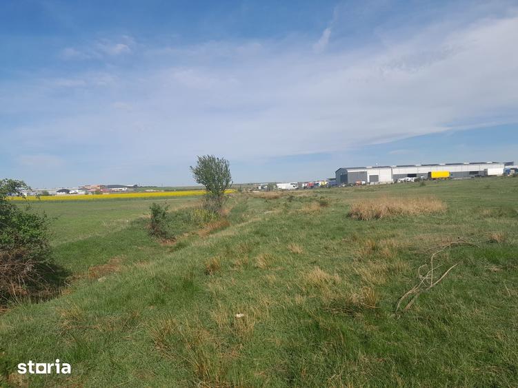 Teren de 30700 mp, în Albota