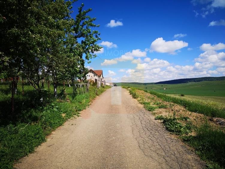Teren Construcții intravilan de 650 mp, în Calea Romanului