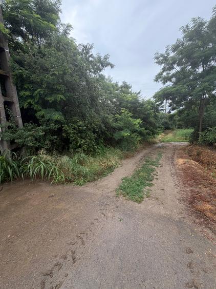 Teren intravilan de 653 mp, în Buturugeni