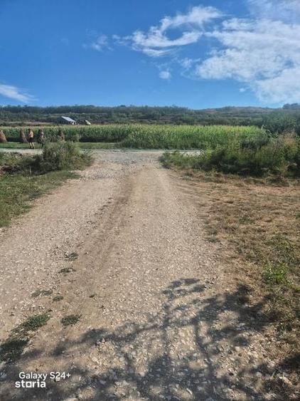 Teren de 1875 mp, în Galda de Jos