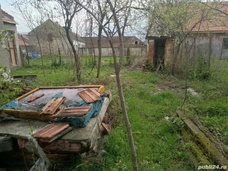 Casă cu 3 camere în Central