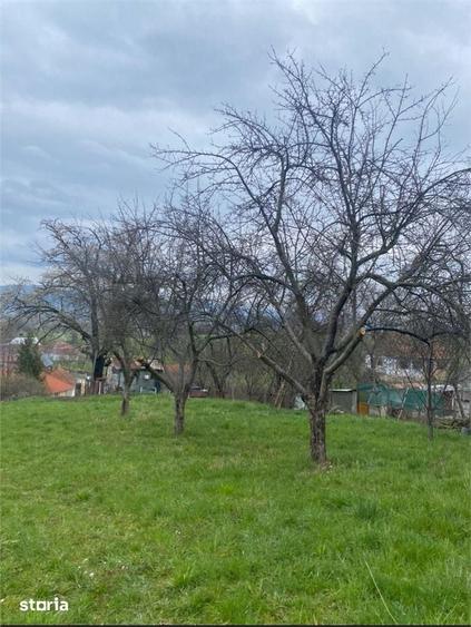 Teren de 4669 mp, în Girișu de Criș