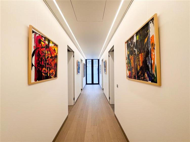 Apartament de inchiriat 5 camere Kiseleff - 18