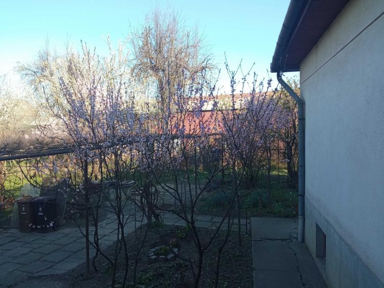 Casă cu 4 camere cu Teren 942 Mp în Mureșeni