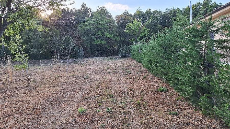 Teren de 5500 mp, în Poiana Tășad