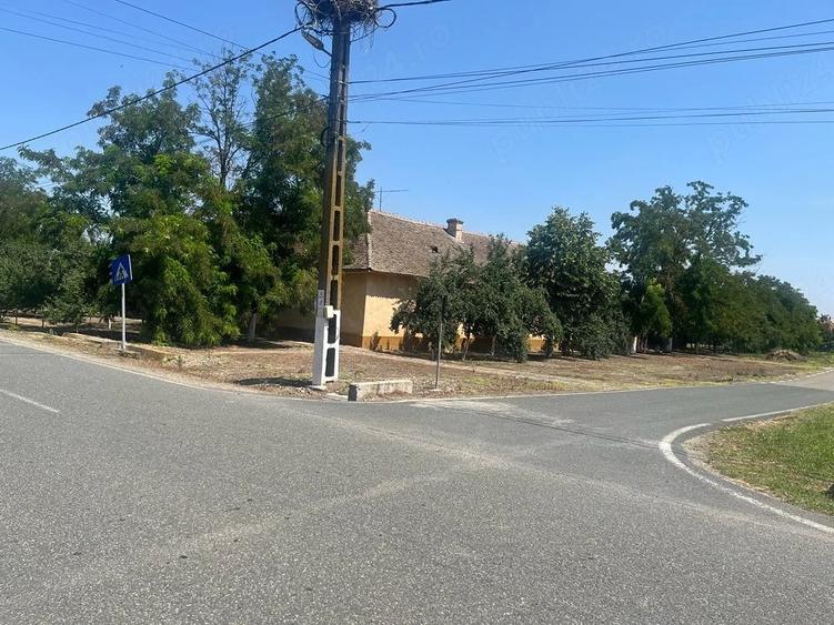 Casă cu 6 camere cu Teren 3000 Mp în Rudna