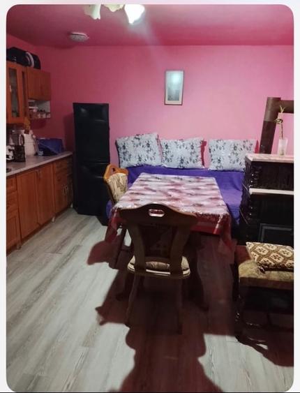 Casă individuală cu 3 camere cu Teren 1360 Mp în Iecea Mare