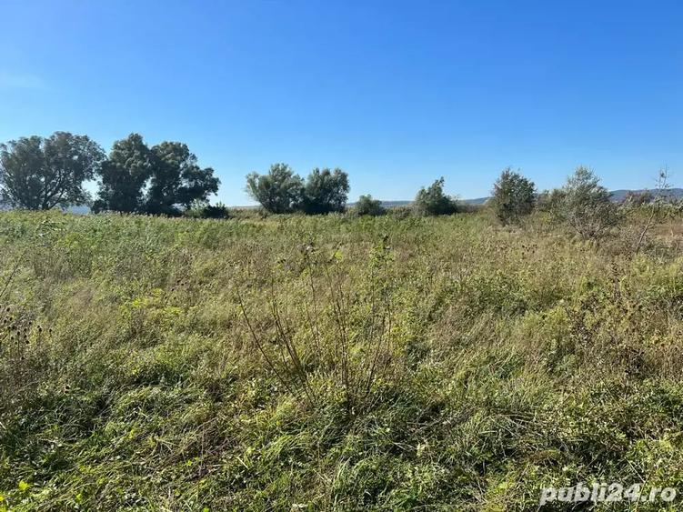 Teren de 3300 mp, în Central