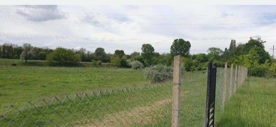 Teren intravilan Bucov - 4