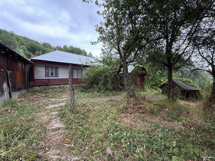 Casă cu 3 camere cu Teren 5913 Mp în Paltin