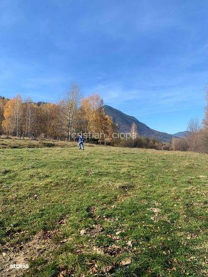 Teren Tohanita - Brasov