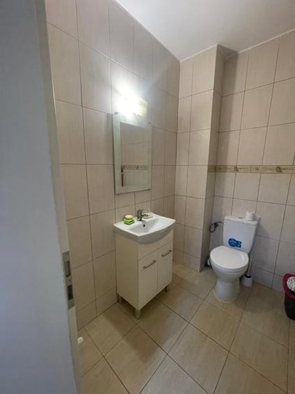 Studio open-space, 42 mp, zona Brazda lui Novac - 9