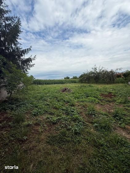 Casă cu 5 camere cu Teren 3000 Mp în Botizului