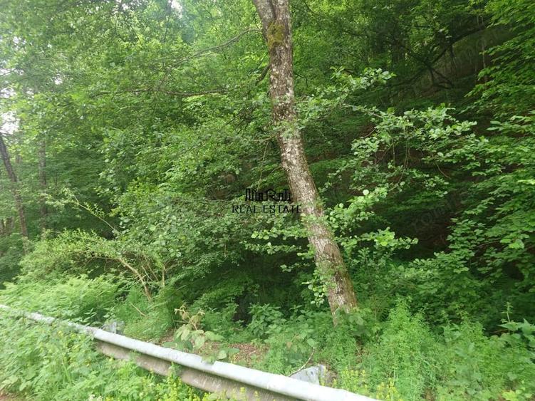 Teren de 9757 mp, în Bulzeștii de Sus