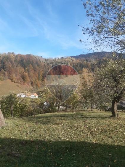 Teren agricol intravilan de 3658 mp, în Bran