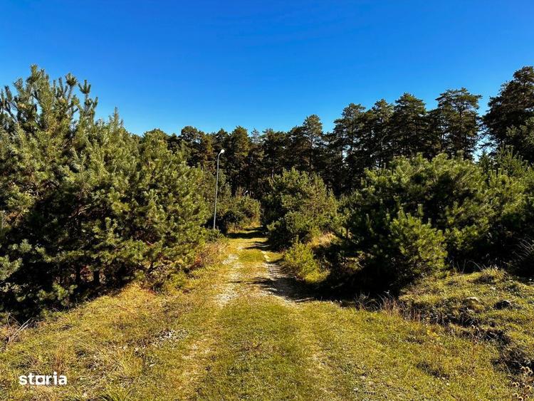 Teren de 600 mp, în Tărlungeni
