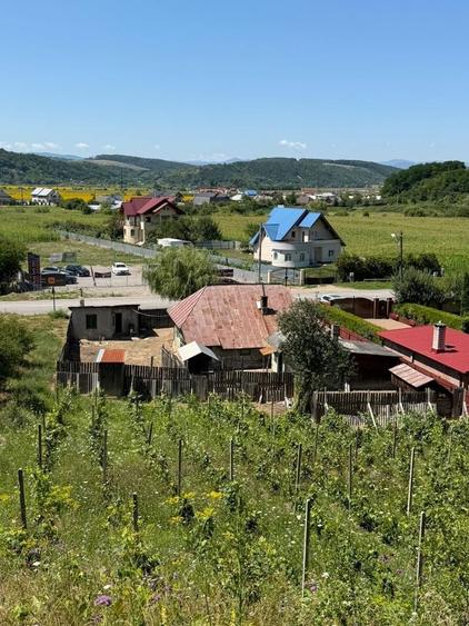 Casă individuală cu 3 camere cu Canalizare în Sănduleni