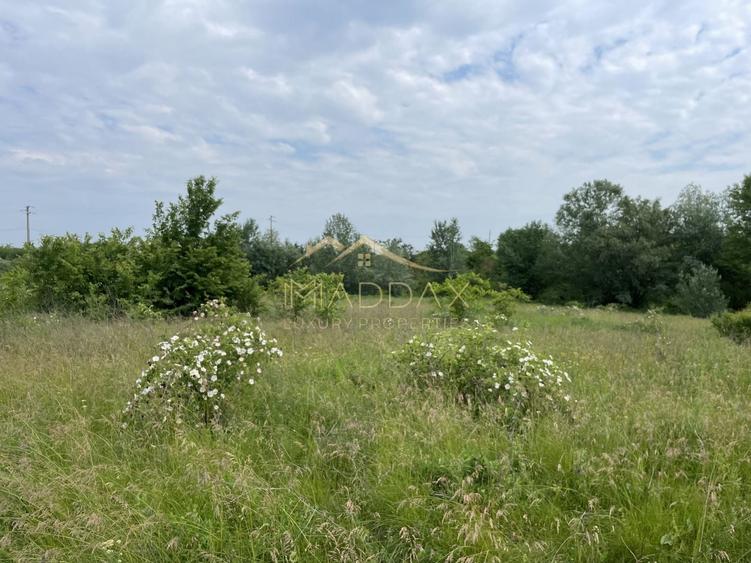 Teren Construcții intravilan de 1439 mp, în Crețești