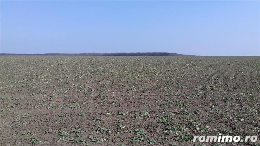 Teren de 18200 mp, în Belciugatele